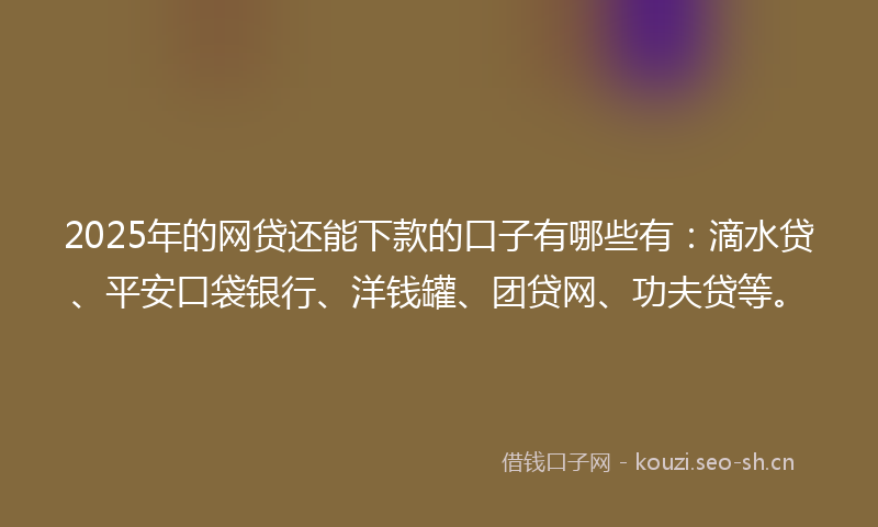 2025年的网贷还能下款的口子有哪些有:滴水贷、平安口袋银行、洋钱罐、团贷网、功夫贷等。