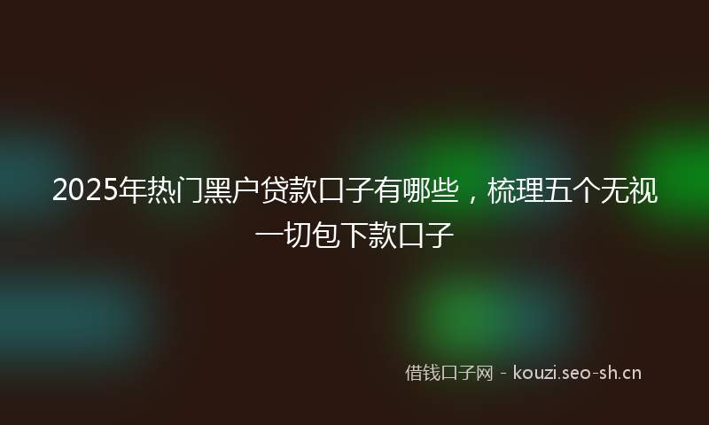 2025年热门黑户贷款口子有哪些，梳理五个无视一切包下款口子