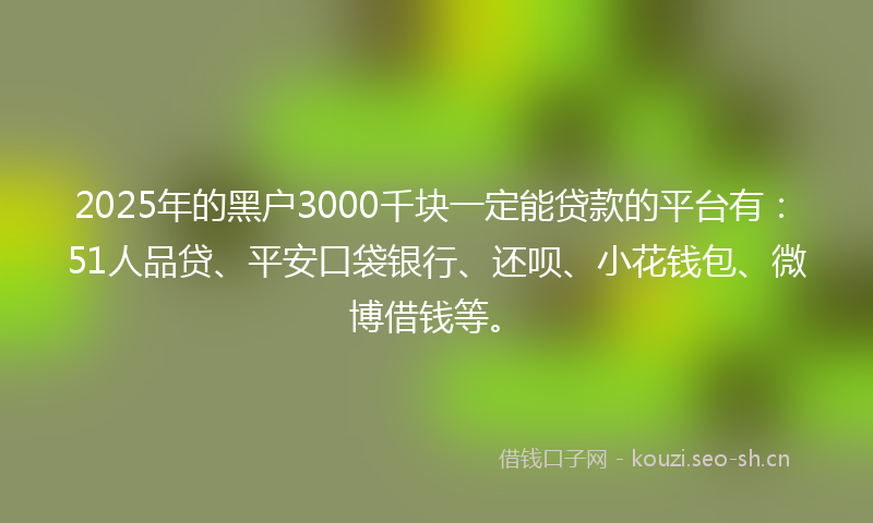 2025年的黑户3000千块一定能贷款的平台有：51人品贷、平安口袋银行、还呗、小花钱包、微博借钱等。
