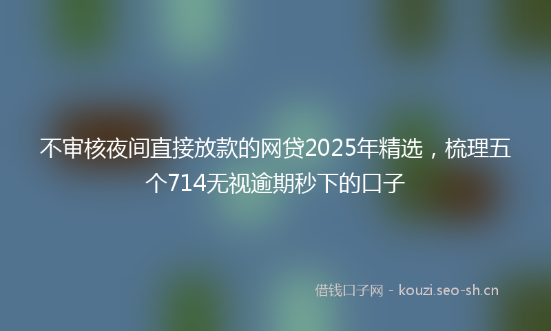 不审核夜间直接放款的网贷2025年精选，梳理五个714无视逾期秒下的口子