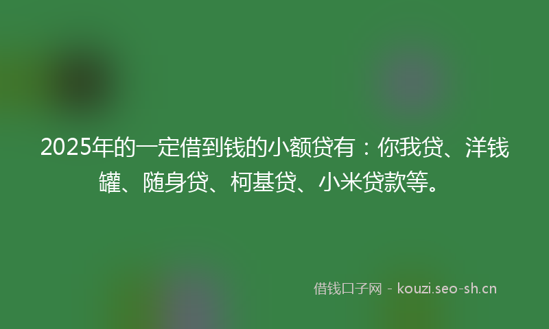 2025年的一定借到钱的小额贷有：你我贷、洋钱罐、随身贷、柯基贷、小米贷款等。