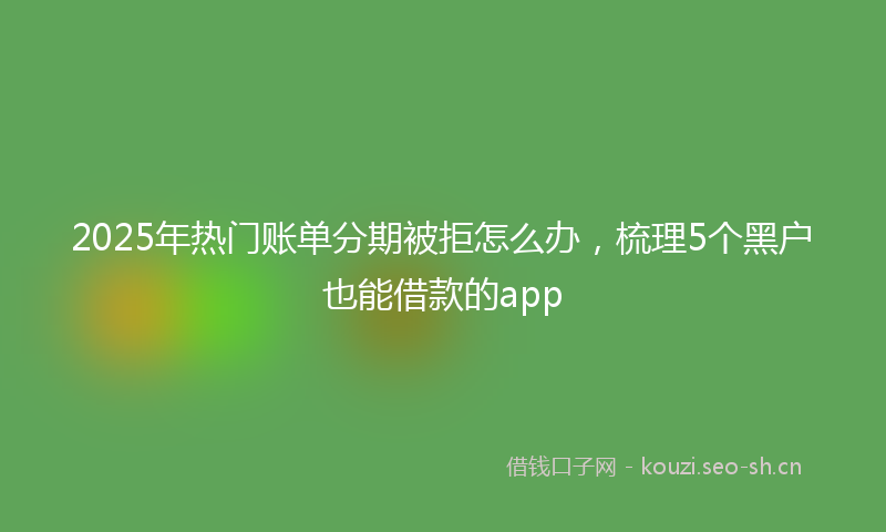2025年热门账单分期被拒怎么办，梳理5个黑户也能借款的app