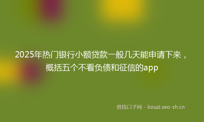 2025年热门银行小额贷款一般几天能申请下来，概括五个不看负债和征信的app
