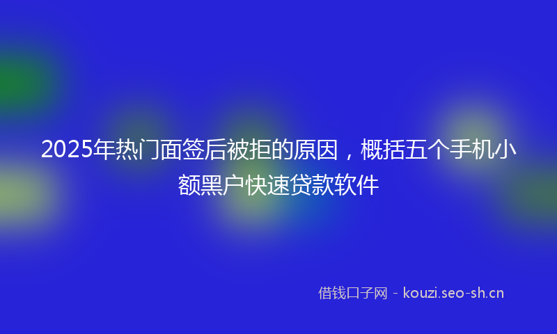 2025年热门面签后被拒的原因，概括五个手机小额黑户快速贷款软件