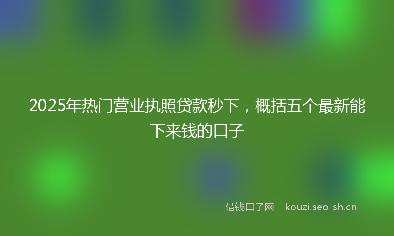 2025年热门营业执照贷款秒下，概括五个最新能下来钱的口子