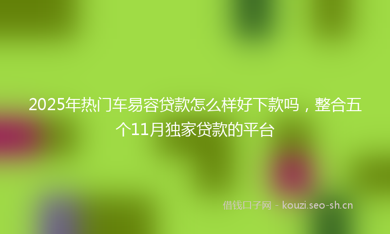 2025年热门车易容贷款怎么样好下款吗，整合五个11月独家贷款的平台