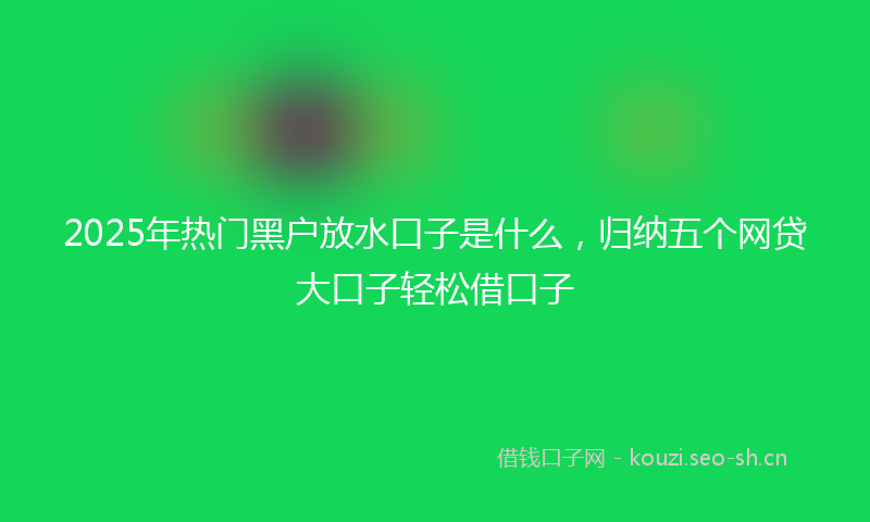 2025年热门黑户放水口子是什么，归纳五个网贷大口子轻松借口子