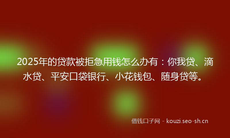 2025年的贷款被拒急用钱怎么办有:你我贷、滴水贷、平安口袋银行、小花钱包、随身贷等。