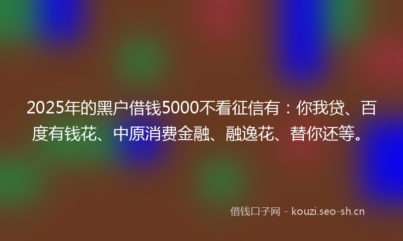 2025年的黑户借钱5000不看征信有：你我贷、百度有钱花、中原消费金融、融逸花、替你还等。