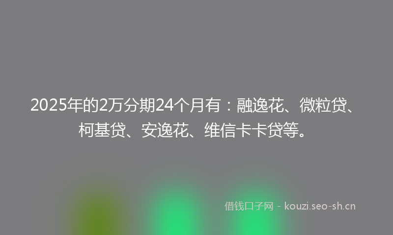 2025年的2万分期24个月有：融逸花、微粒贷、柯基贷、安逸花、维信卡卡贷等。