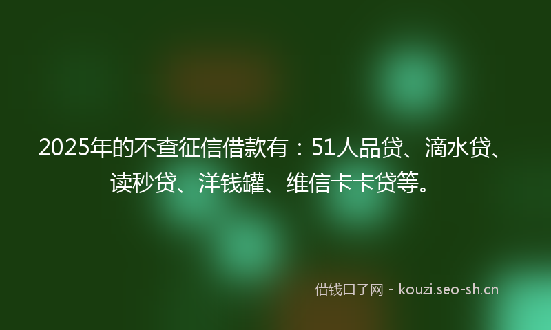 2025年的不查征信借款有：51人品贷、滴水贷、读秒贷、洋钱罐、维信卡卡贷等。