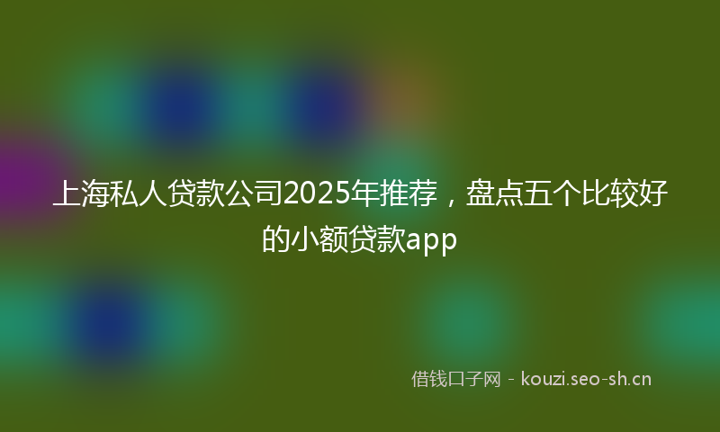 上海私人贷款公司2025年推荐，盘点五个比较好的小额贷款app