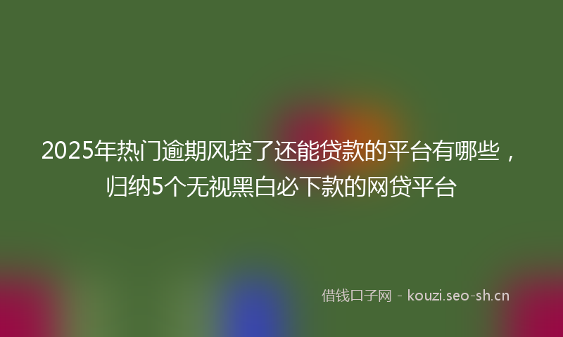 2025年热门逾期风控了还能贷款的平台有哪些，归纳5个无视黑白必下款的网贷平台