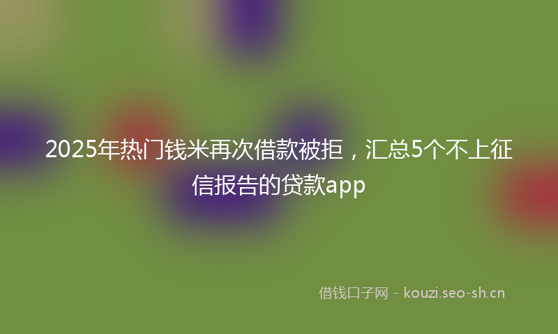 2025年热门钱米再次借款被拒，汇总5个不上征信报告的贷款app
