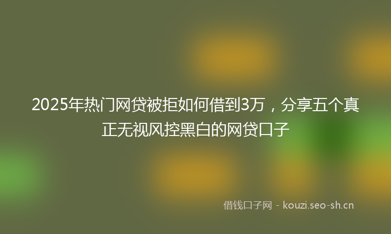 2025年热门网贷被拒如何借到3万，分享五个真正无视风控黑白的网贷口子