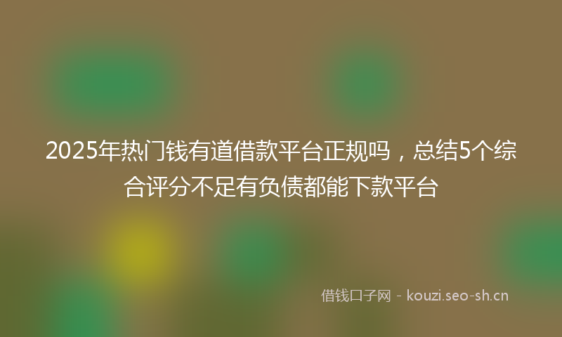 2025年热门钱有道借款平台正规吗，总结5个综合评分不足有负债都能下款平台