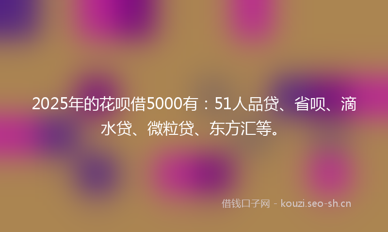 2025年的花呗借5000有：51人品贷、省呗、滴水贷、微粒贷、东方汇等。