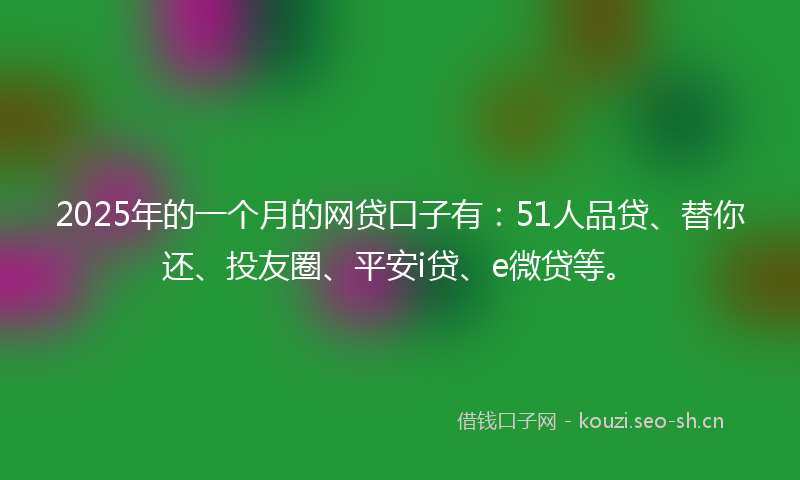2025年的一个月的网贷口子有：51人品贷、替你还、投友圈、平安i贷、e微贷等。