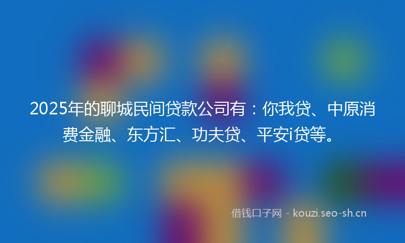 2025年的聊城民间贷款公司有：你我贷、中原消费金融、东方汇、功夫贷、平安i贷等。