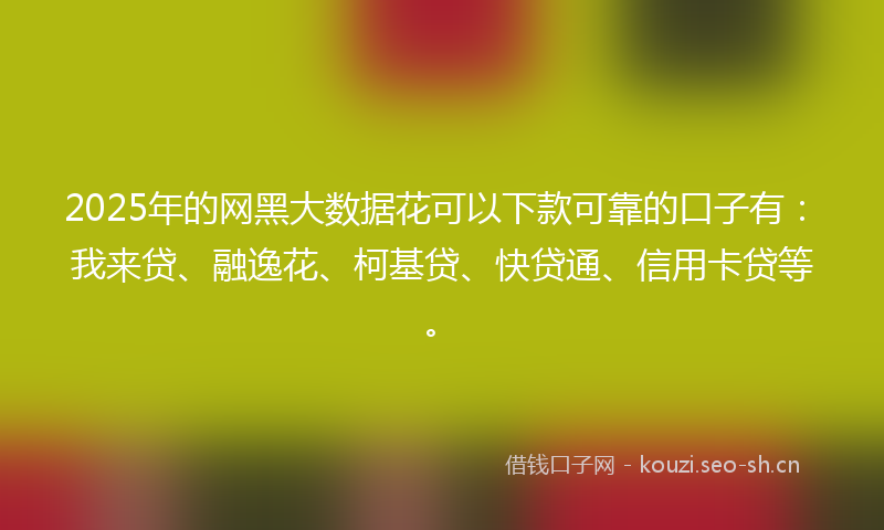 2025年的网黑大数据花可以下款可靠的口子有：我来贷、融逸花、柯基贷、快贷通、信用卡贷等。