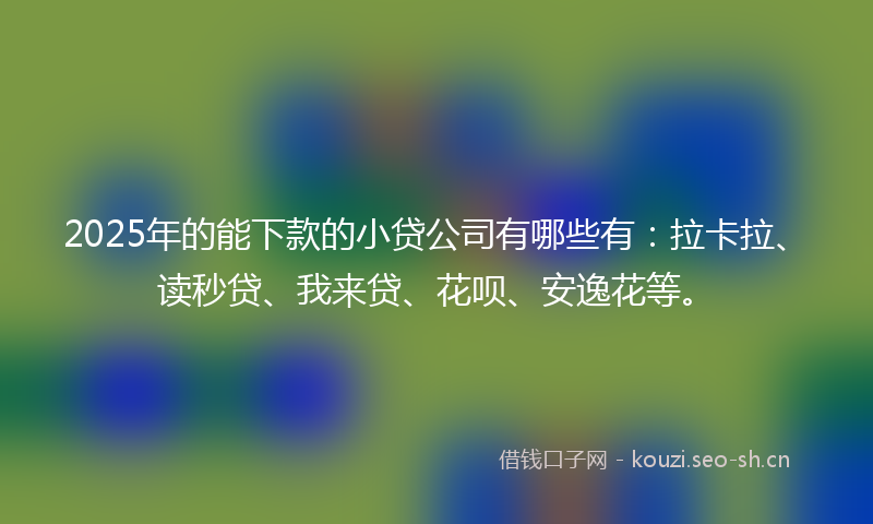 2025年的能下款的小贷公司有哪些有：拉卡拉、读秒贷、我来贷、花呗、安逸花等。