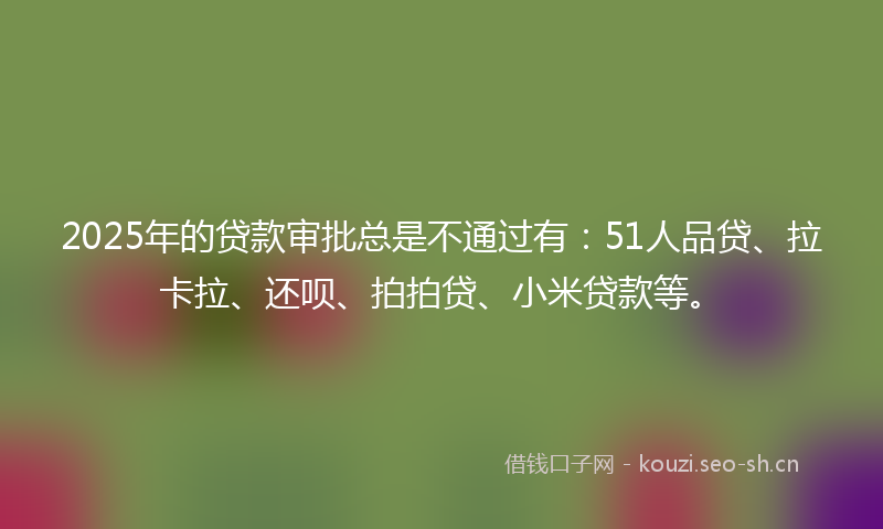 2025年的贷款审批总是不通过有：51人品贷、拉卡拉、还呗、拍拍贷、小米贷款等。