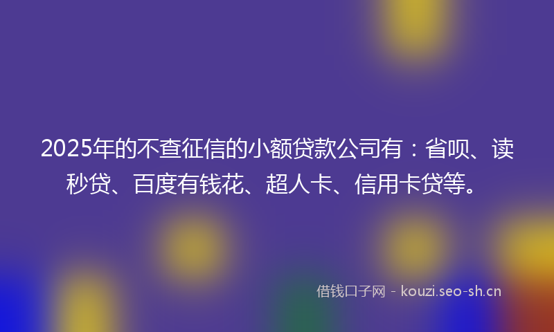 2025年的不查征信的小额贷款公司有：省呗、读秒贷、百度有钱花、超人卡、信用卡贷等。