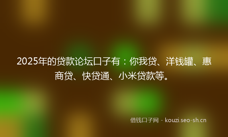 2025年的贷款论坛口子有：你我贷、洋钱罐、惠商贷、快贷通、小米贷款等。