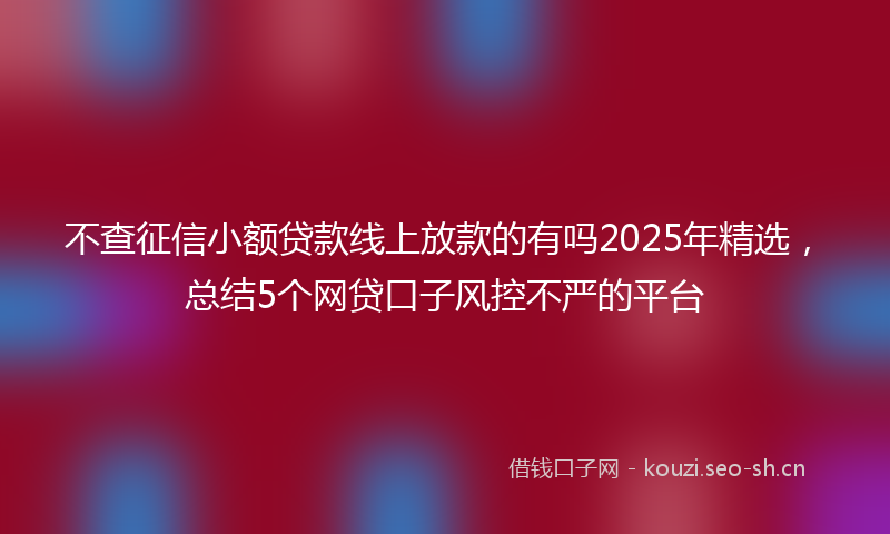 不查征信小额贷款线上放款的有吗2025年精选，总结5个网贷口子风控不严的平台