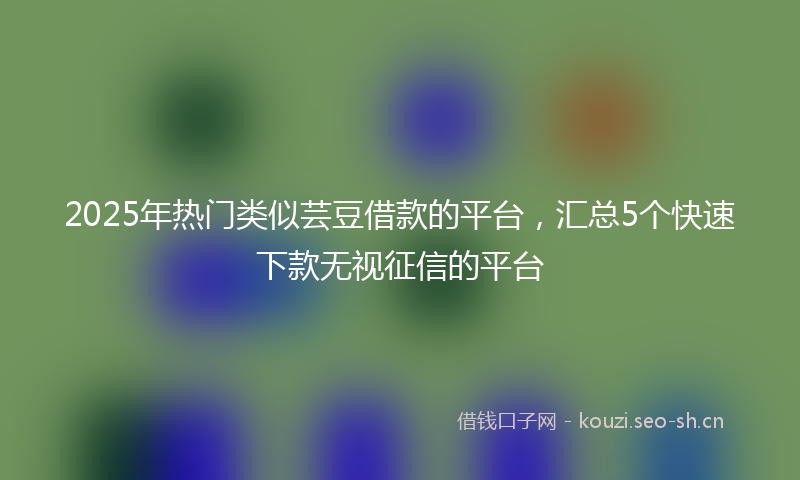 2025年热门类似芸豆借款的平台，汇总5个快速下款无视征信的平台