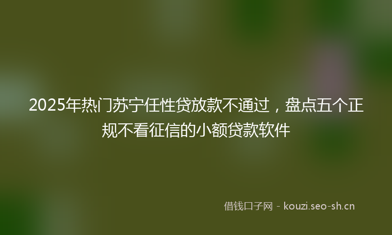 2025年热门苏宁任性贷放款不通过，盘点五个正规不看征信的小额贷款软件