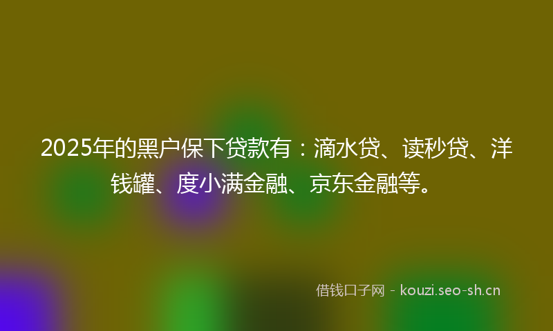 2025年的黑户保下贷款有：滴水贷、读秒贷、洋钱罐、度小满金融、京东金融等。