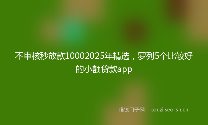 不审核秒放款10002025年精选，罗列5个比较好的小额贷款app