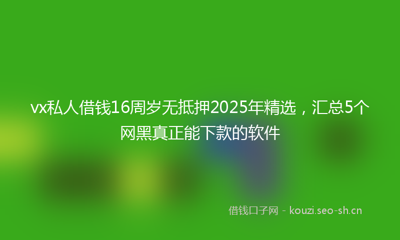 vx私人借钱16周岁无抵押2025年精选，汇总5个网黑真正能下款的软件