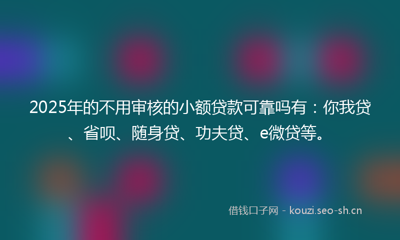2025年的不用审核的小额贷款可靠吗有：你我贷、省呗、随身贷、功夫贷、e微贷等。