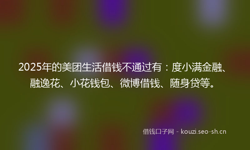 2025年的美团生活借钱不通过有：度小满金融、融逸花、小花钱包、微博借钱、随身贷等。