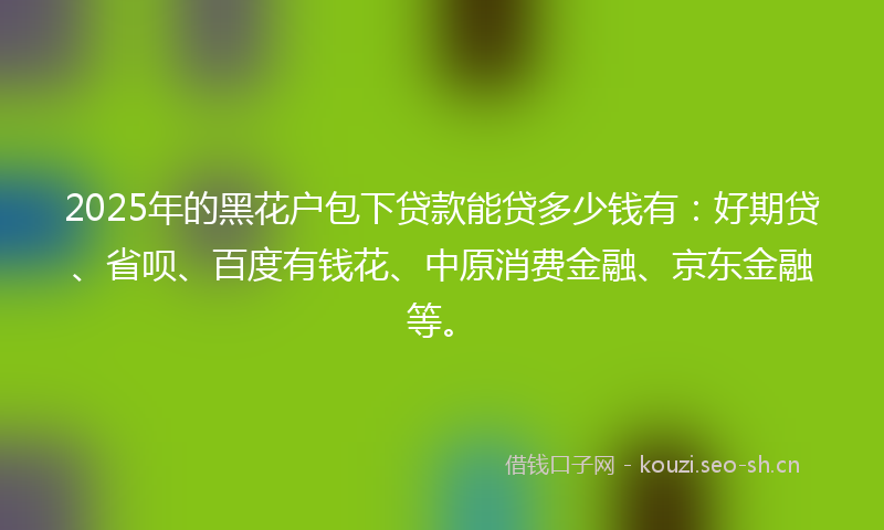 2025年的黑花户包下贷款能贷多少钱有：好期贷、省呗、百度有钱花、中原消费金融、京东金融等。