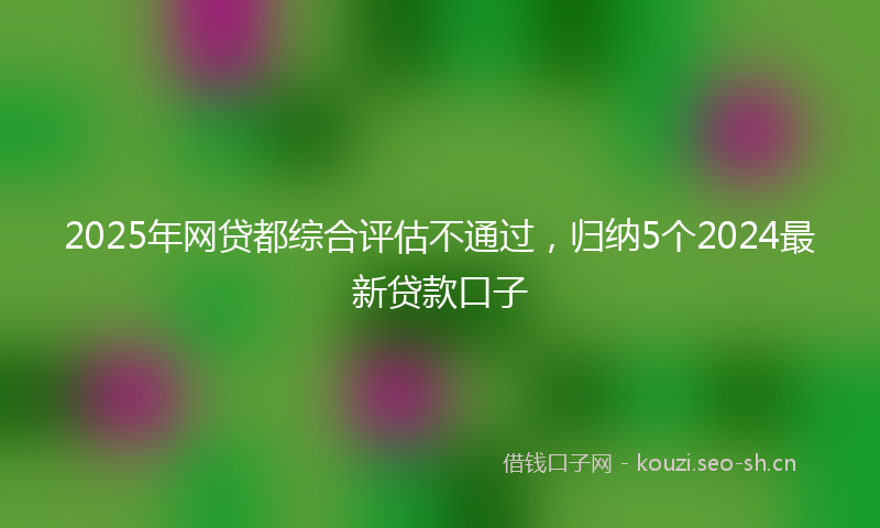 2025年网贷都综合评估不通过，归纳5个2024最新贷款口子