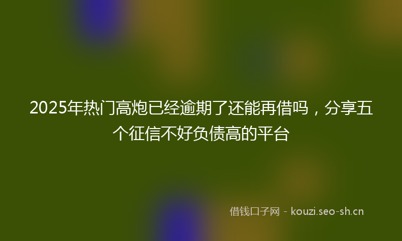2025年热门高炮已经逾期了还能再借吗，分享五个征信不好负债高的平台
