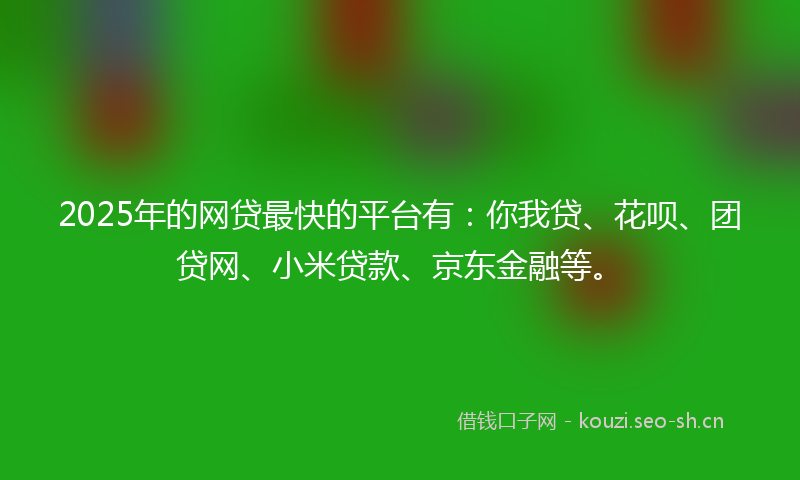 2025年的网贷最快的平台有：你我贷、花呗、团贷网、小米贷款、京东金融等。