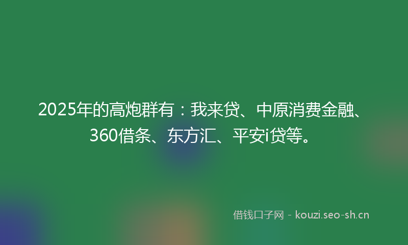 2025年的高炮群有：我来贷、中原消费金融、360借条、东方汇、平安i贷等。