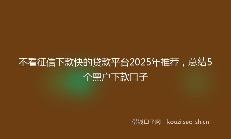 不看征信下款快的贷款平台2025年推荐，总结5个黑户下款口子