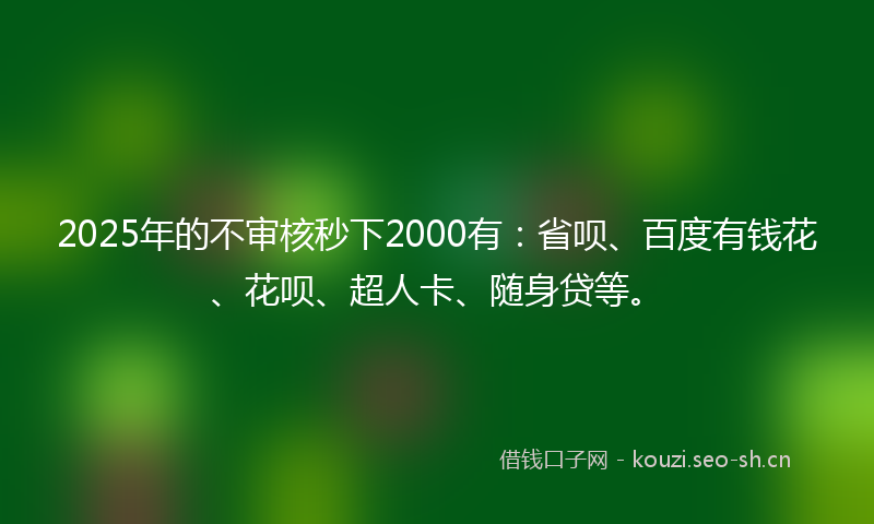 2025年的不审核秒下2000有：省呗、百度有钱花、花呗、超人卡、随身贷等。