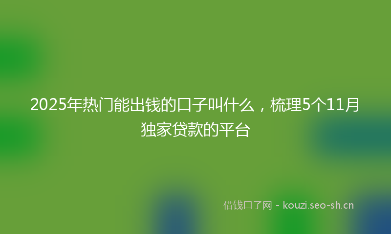 2025年热门能出钱的口子叫什么,梳理5个11月独家贷款的平台