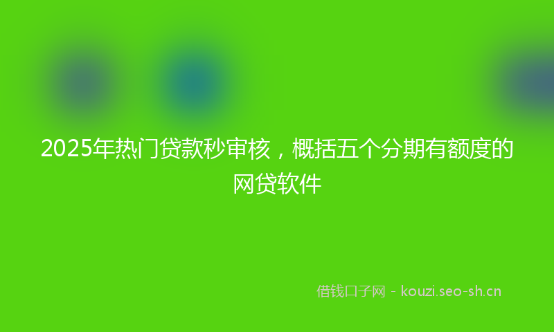2025年热门贷款秒审核，概括五个分期有额度的网贷软件