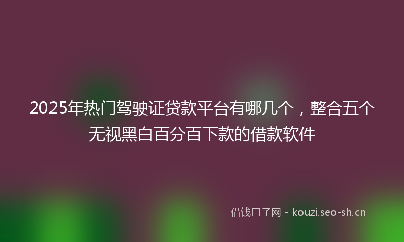 2025年热门驾驶证贷款平台有哪几个，整合五个无视黑白百分百下款的借款软件