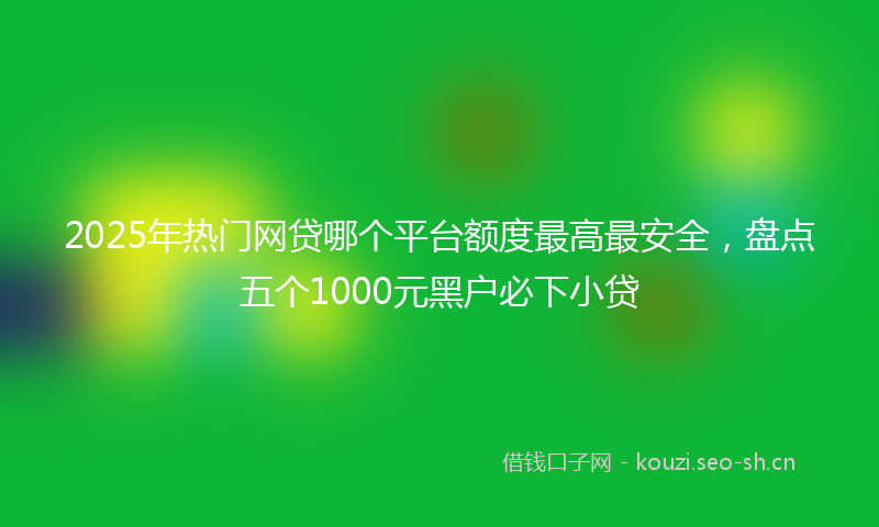 2025年热门网贷哪个平台额度最高最安全，盘点五个1000元黑户必下小贷