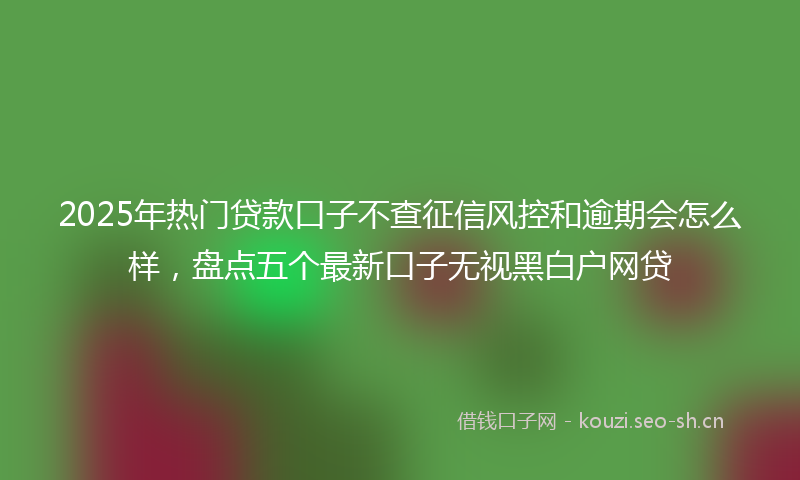 2025年热门贷款口子不查征信风控和逾期会怎么样，盘点五个最新口子无视黑白户网贷
