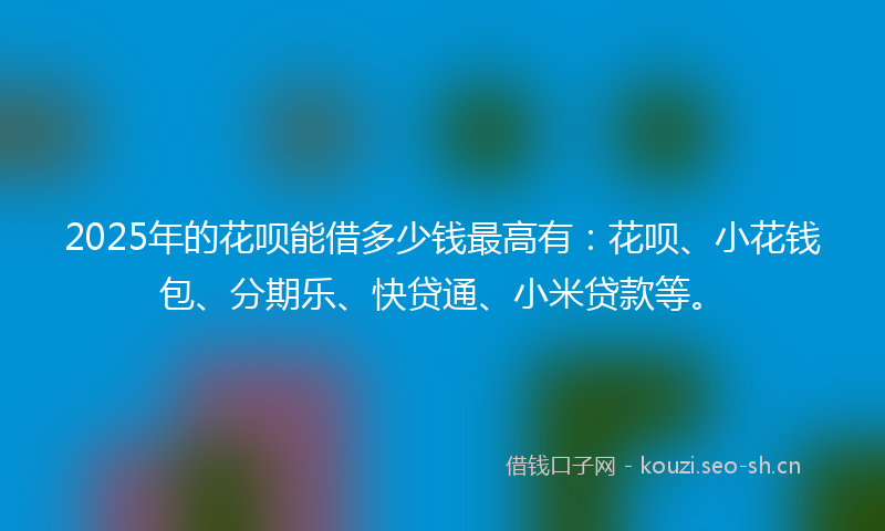 2025年的花呗能借多少钱最高有：花呗、小花钱包、分期乐、快贷通、小米贷款等。