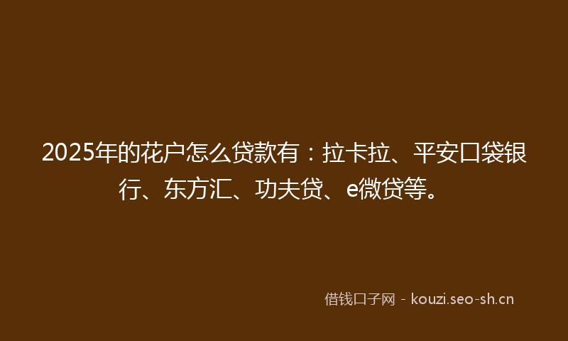 2025年的花户怎么贷款有：拉卡拉、平安口袋银行、东方汇、功夫贷、e微贷等。